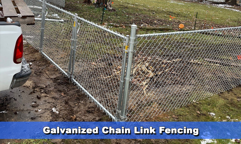 chain link fencing galvanized