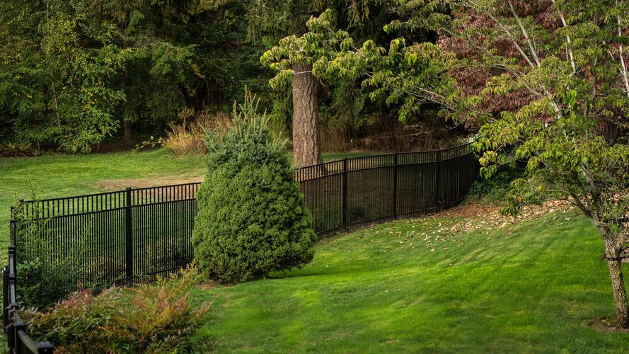 Pool fence backyard