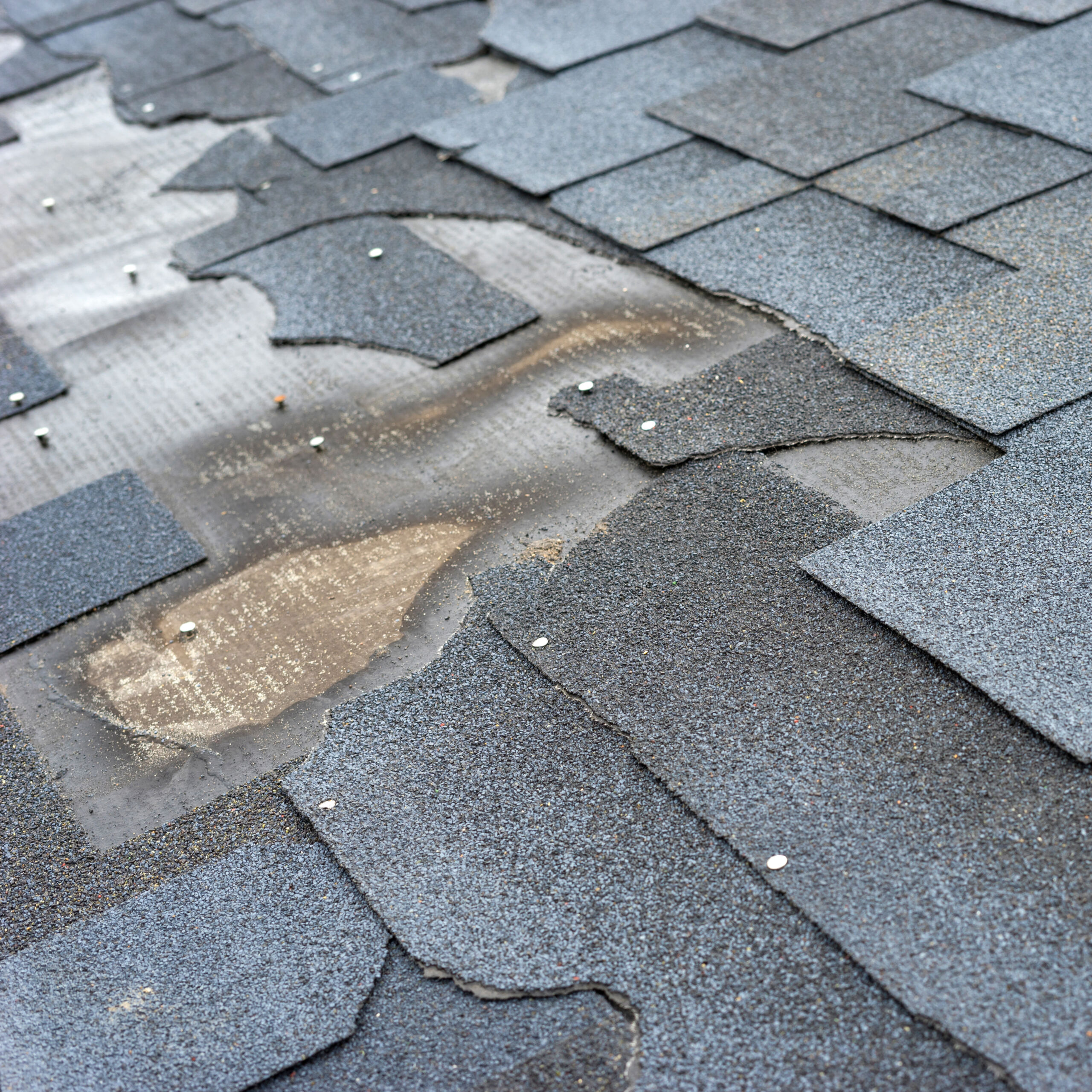 shingle damage storm damage