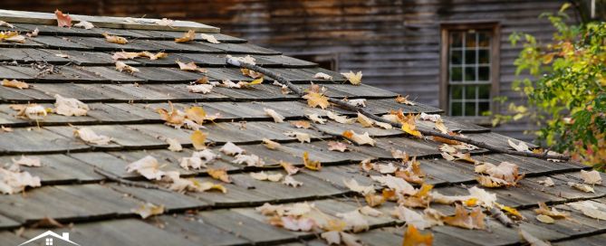 Why Fall Is the Best Time for Roof Replacement