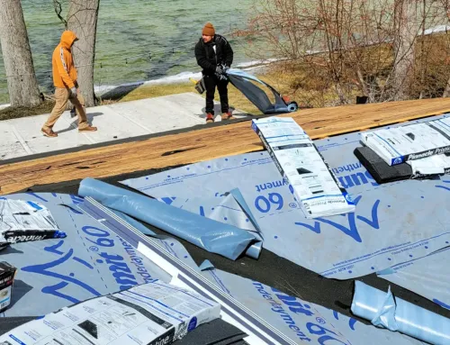 The Best Roofing Options for Eco-Friendly Homes