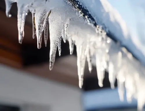 Ice & Water Shield in Kentwood, MI: Where It Matters Most