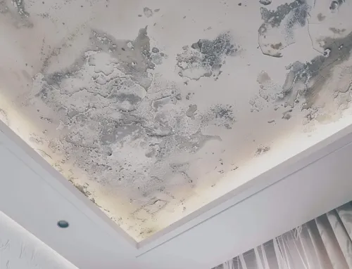 Where Leaks Start on Dormers and Complex Rooflines — and How Pros Prevent Them in Kentwood