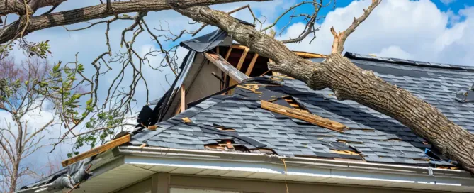 dima90 Best Practices for Post Storm Roof Clean Up b14e8424 c945 486b ad12 c1bbd905544a